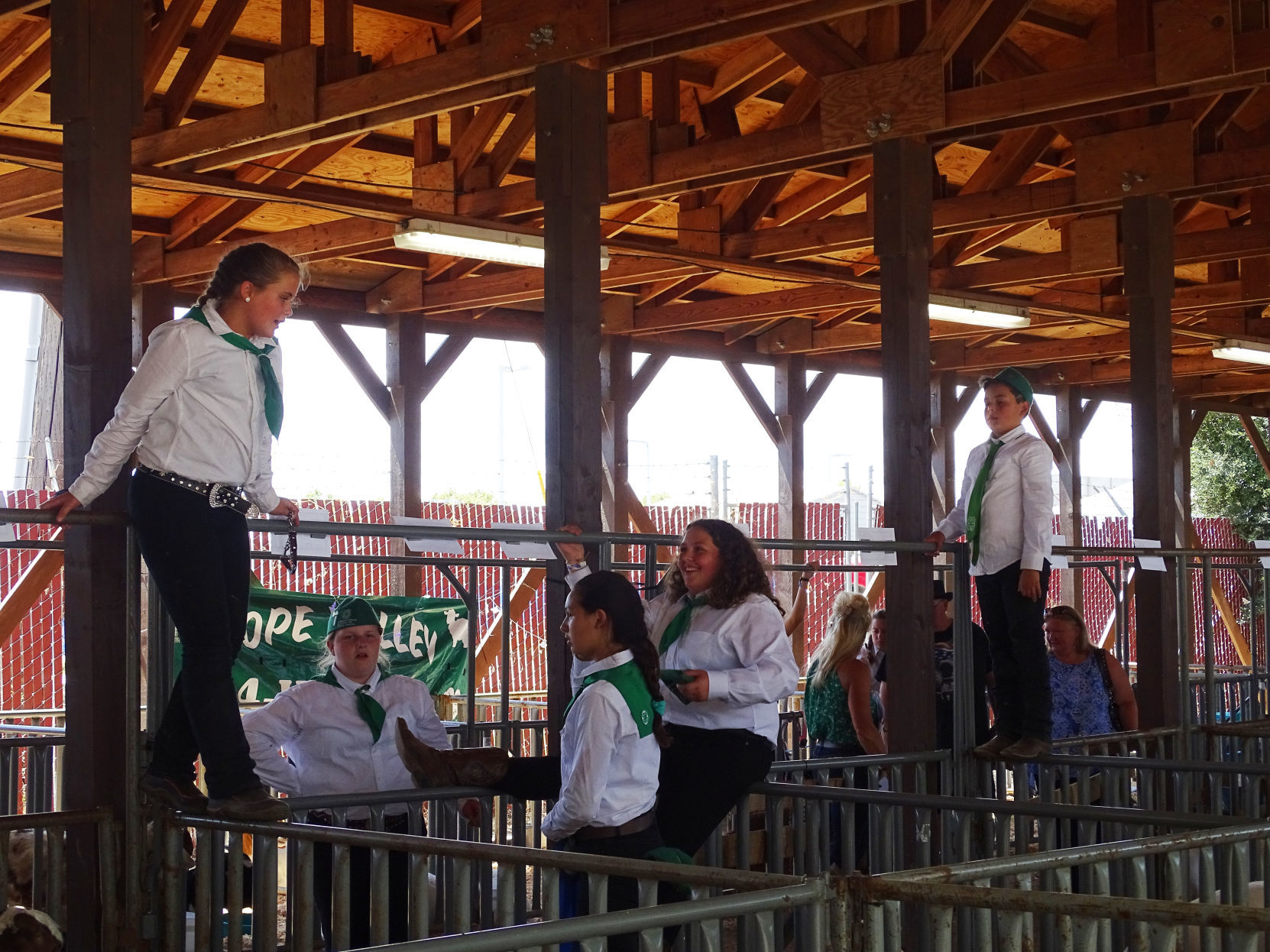 Junior Livestock Auction 2019